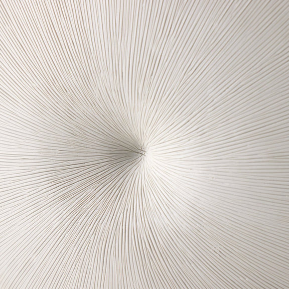 Busaba Table Lamp - Matte White