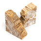 Petrified Wood Book Ends - Light Petrified Wood