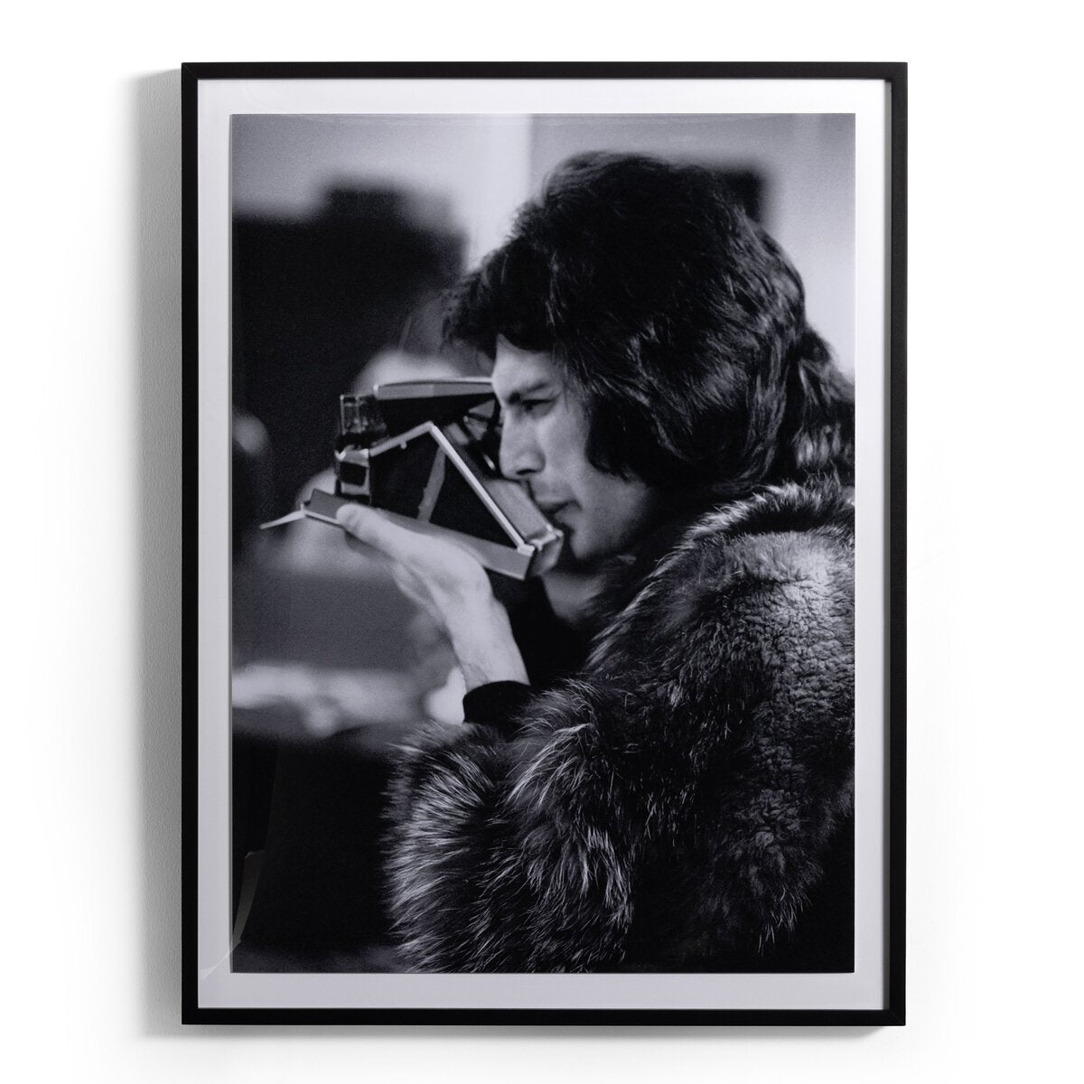 Freddie In Furs by Getty Images - Black Maple