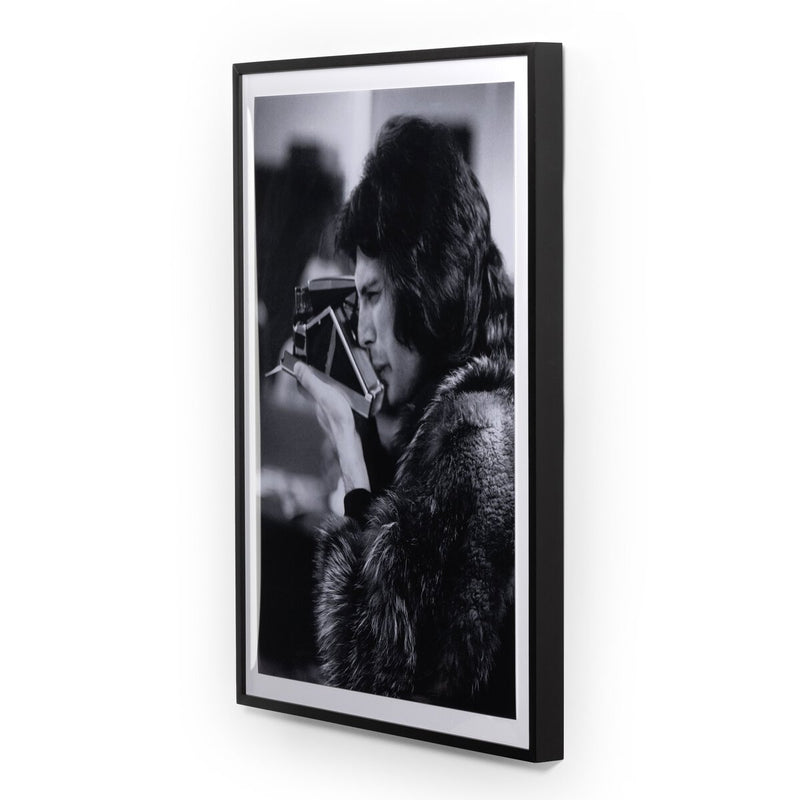 Freddie In Furs by Getty Images - Black Maple
