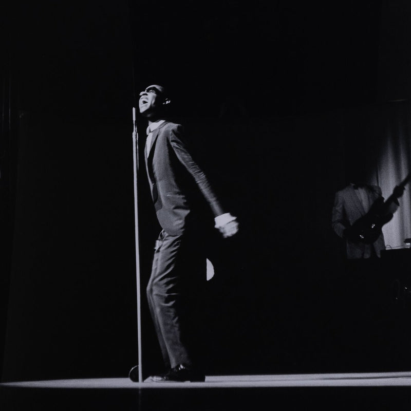 Stevie Wonder by Getty Images - Black Maple