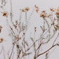 In The Details I by Annie Spratt - Rustic Walnut