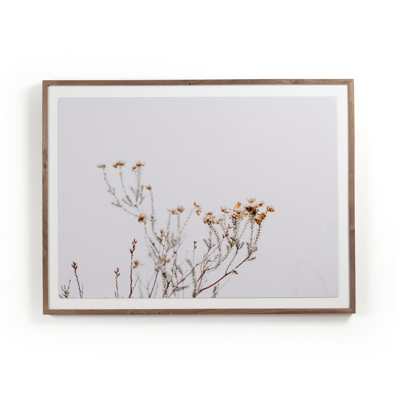 In The Details I by Annie Spratt - Rustic Walnut