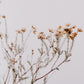 In The Details I by Annie Spratt - Rustic Walnut