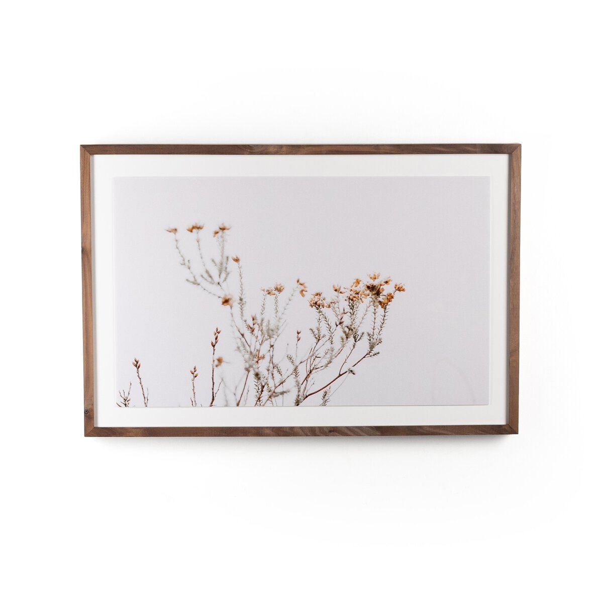 In The Details I by Annie Spratt - Rustic Walnut