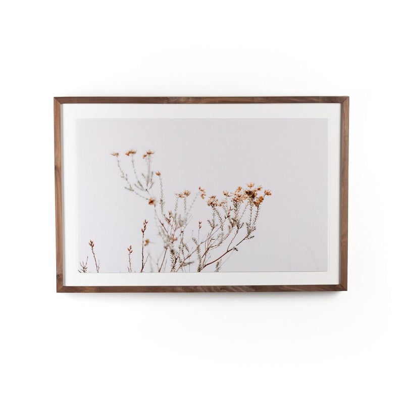 In The Details I by Annie Spratt - Rustic Walnut
