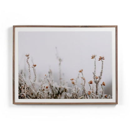 In The Details II by Annie Spratt - Rustic Walnut
