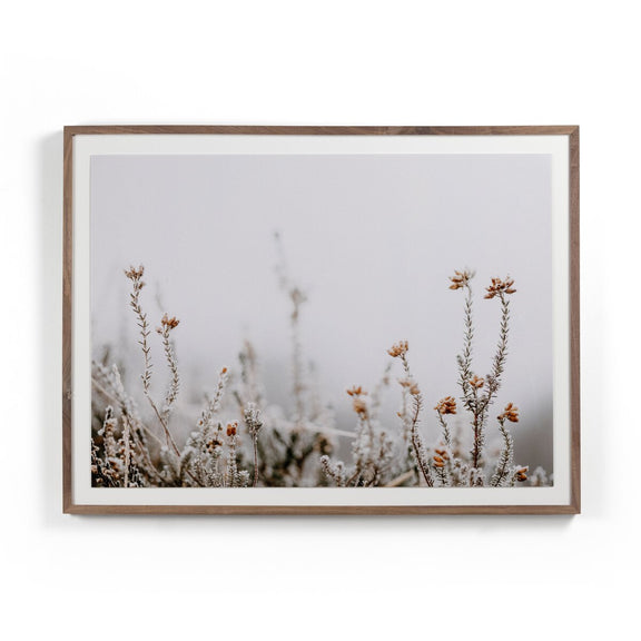 In The Details II by Annie Spratt - Rustic Walnut