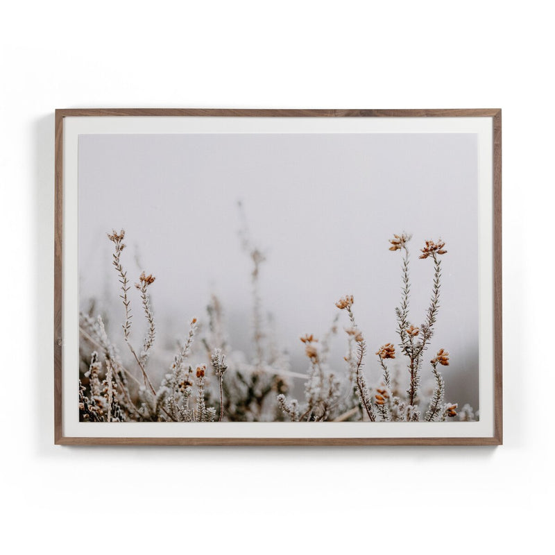 In The Details II by Annie Spratt - Rustic Walnut