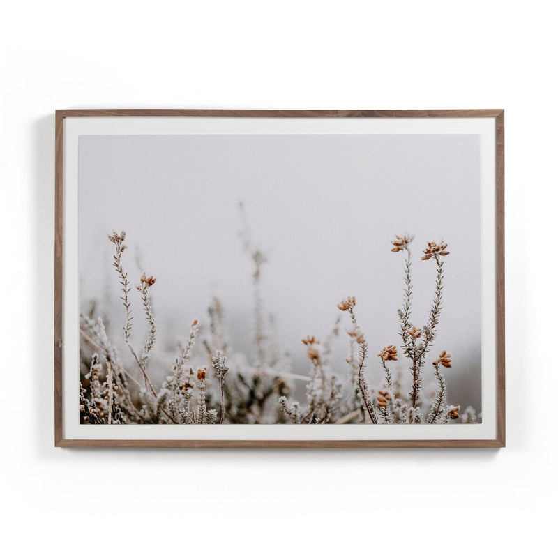 In The Details II by Annie Spratt - Rustic Walnut