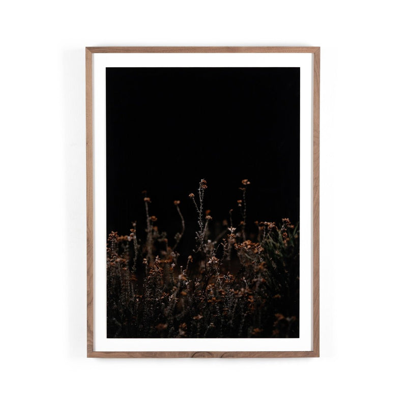 Escape I by Annie Spratt - Rustic Walnut