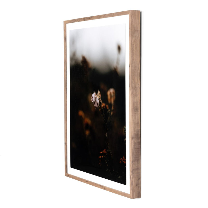 Escape II by Annie Spratt - Rustic Walnut