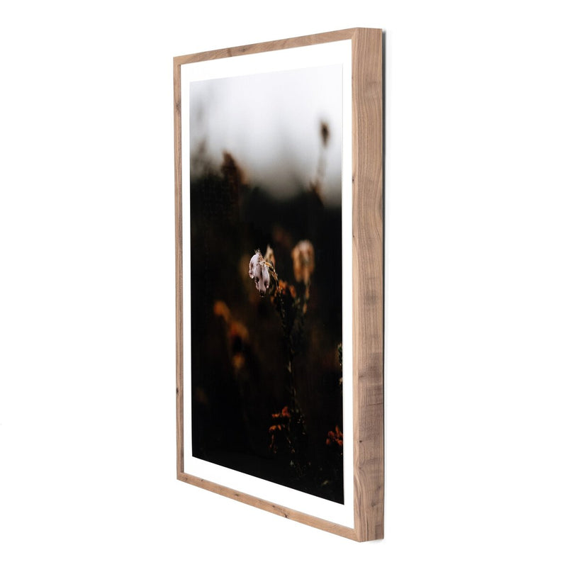 Escape II by Annie Spratt - Rustic Walnut