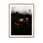 Escape II by Annie Spratt - Rustic Walnut