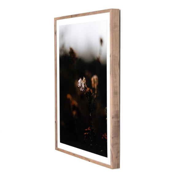 Escape II by Annie Spratt - Rustic Walnut