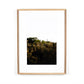 Blackbird Fly by Annie Spratt - White Oak