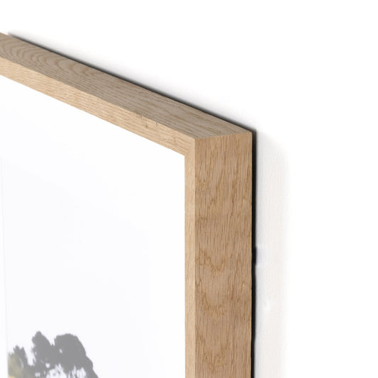 In The Wind by Annie Spratt - White Oak