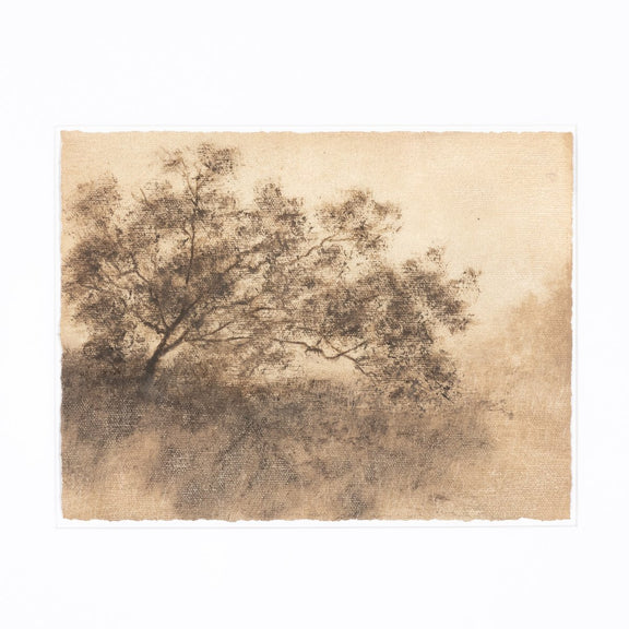 Hillside Haze X by Aileen Fitzgerald - Rustic Walnut
