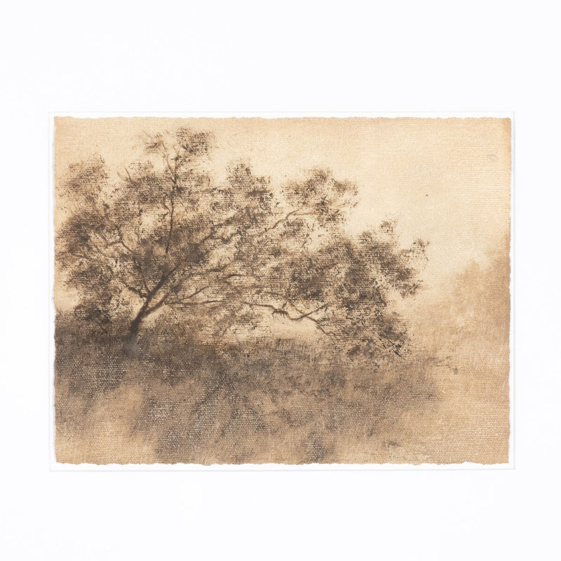 Hillside Haze X by Aileen Fitzgerald - Rustic Walnut