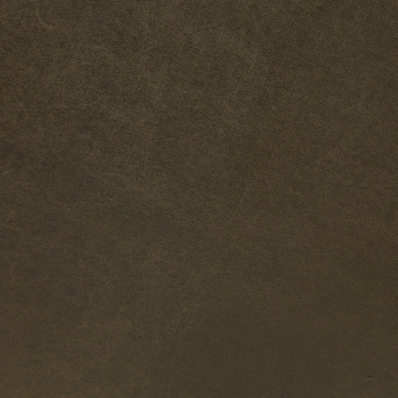 Baden Bar + Counter Stool - Dulane Moss
