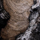 Char VI by FH Art Studio — Rustic 2.5 Walnut