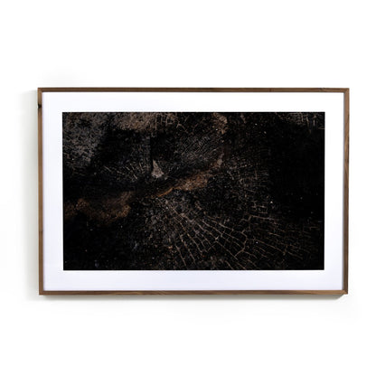 Char XI by FH Art Studio - Rustic Walnut