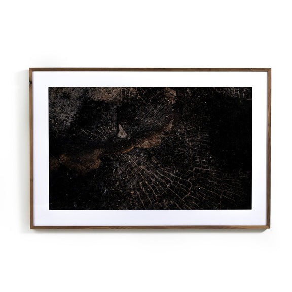 Char XI by FH Art Studio - Rustic Walnut