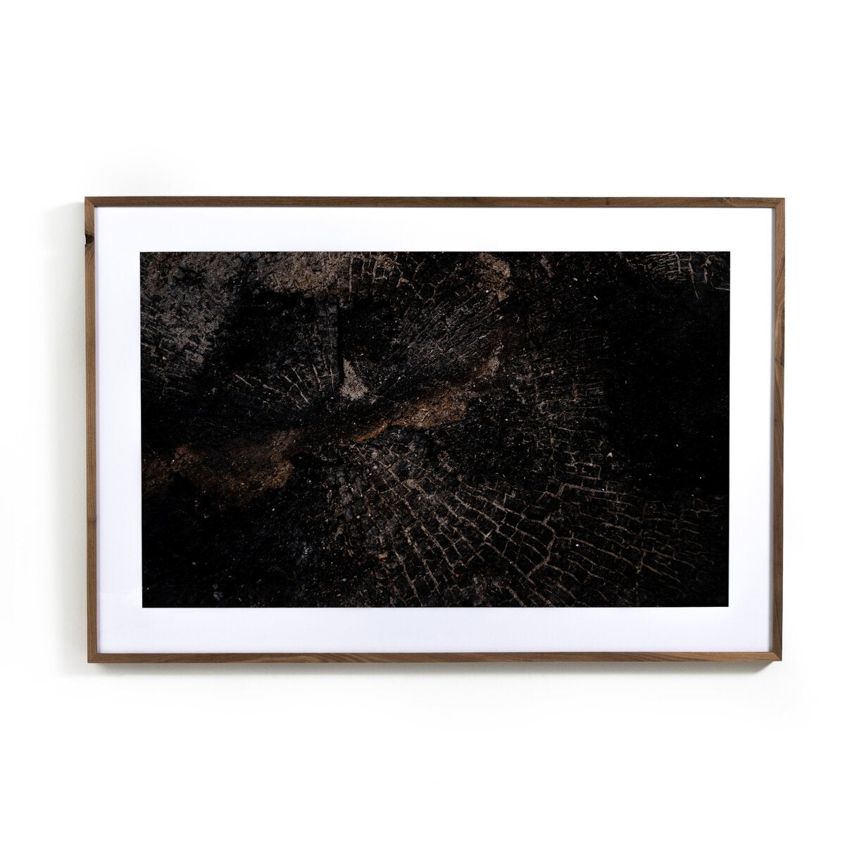 Char XI by FH Art Studio - Rustic Walnut