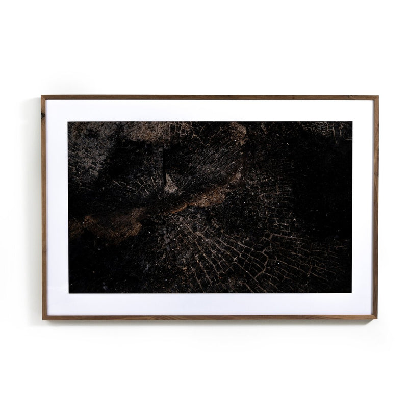 Char XI by FH Art Studio - Rustic Walnut