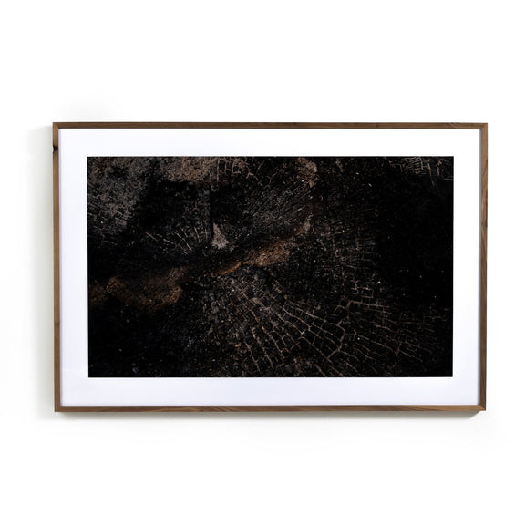 Char XI by FH Art Studio - Rustic Walnut