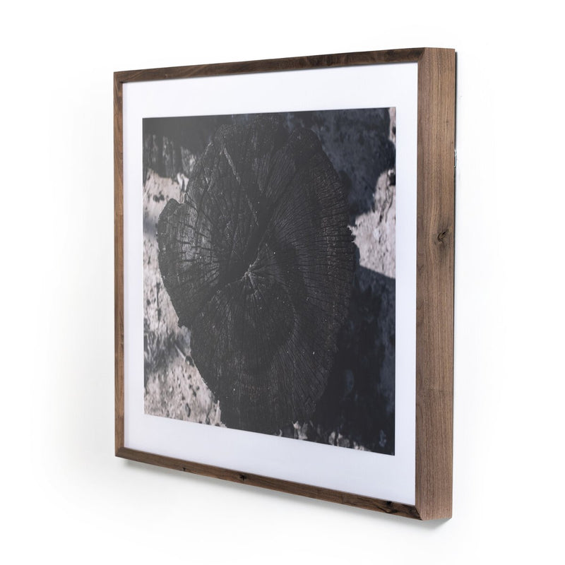 Char II by FH Art Studio - Rustic Walnut