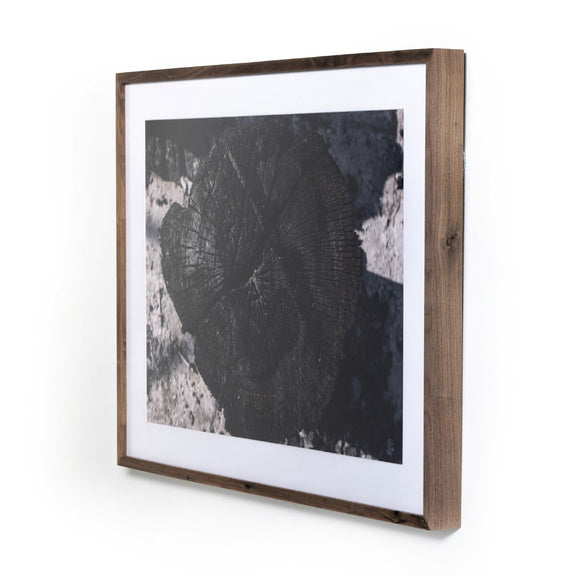 Char II by FH Art Studio - Rustic Walnut