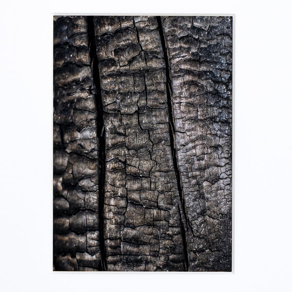 Char IV by FH Art Studio - Rustic Walnut