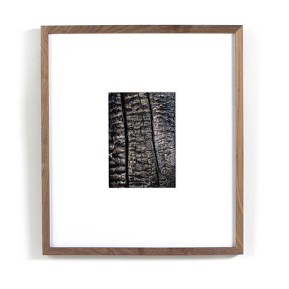 Char IV by FH Art Studio - Rustic Walnut