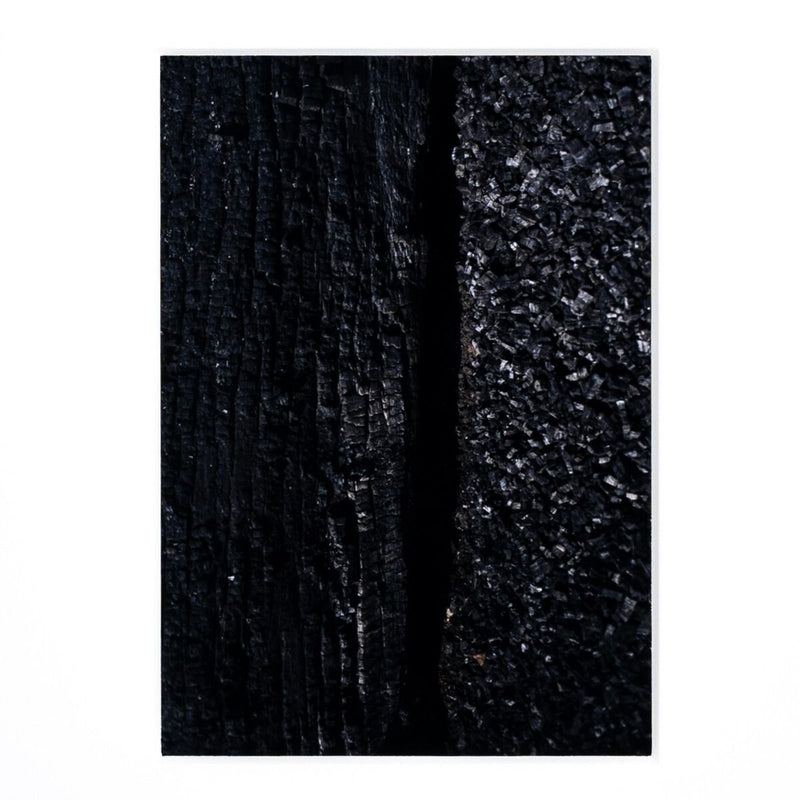 Char VII by FH Art Studio - Rustic Walnut
