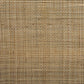Caprice Wide Bookshelf - Natural Mango
