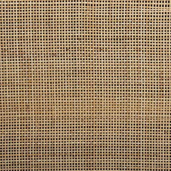 Caprice Wide Bookshelf - Natural Mango