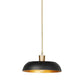 Walton Pendant - Black Aluminum Enamel