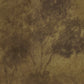 Intertwined by Aileen Fitzgerald - Rustic Walnut