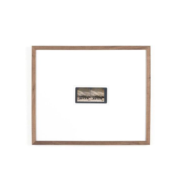 Monarch Of The Plain by Gold Rush Art Co - Rustic Walnut