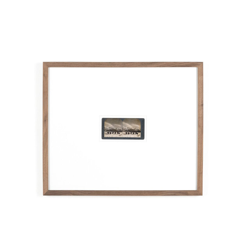 Monarch Of The Plain by Gold Rush Art Co - Rustic Walnut