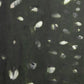Verde Oculus by Jamie Beckwith - Black Maple Floater