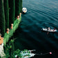 Giacomo Montegazza by Slim Aarons - White Oak Floater