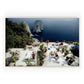 IL Canille by Slim Aarons - White Maple Floater