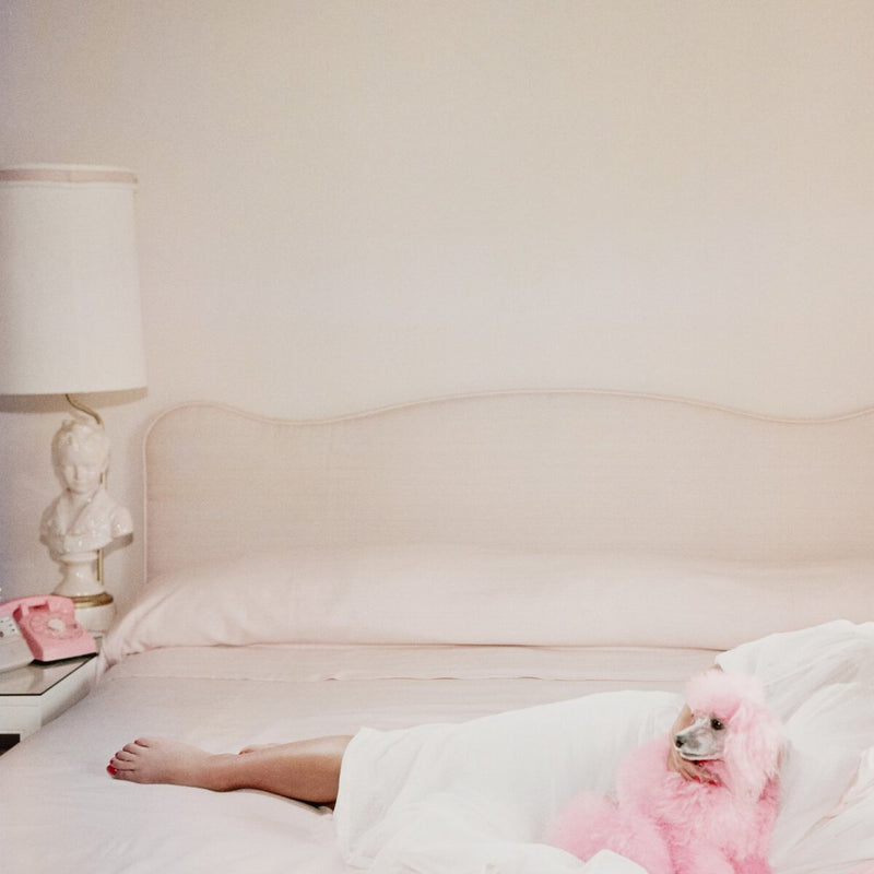 Joan Collins Relaxes by Slim Aarons - White Maple Floater