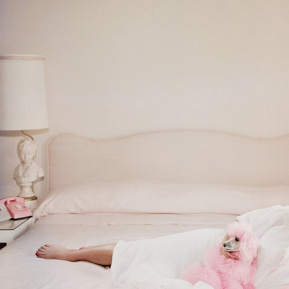 Joan Collins Relaxes by Slim Aarons - White Maple Floater