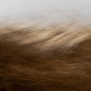 Reality Unfurled by Toni Toscano - Rustic Walnut Floater