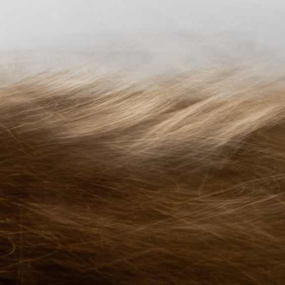 Reality Unfurled by Toni Toscano - Rustic Walnut Floater
