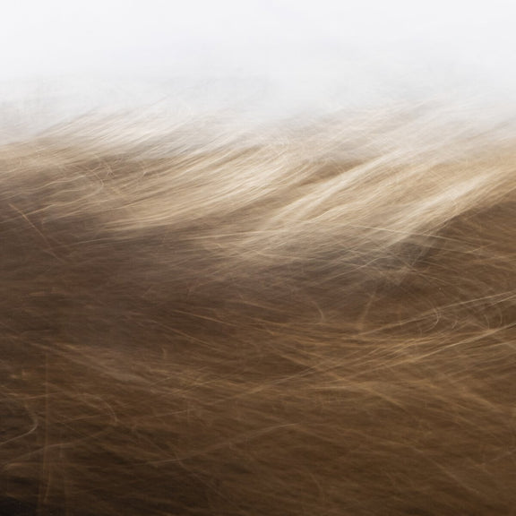 Reality Unfurled by Toni Toscano - Rustic Walnut