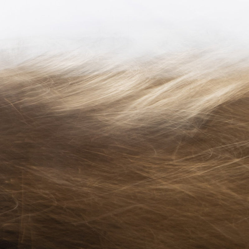 Reality Unfurled by Toni Toscano - Rustic Walnut